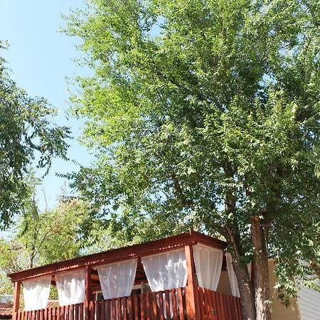 Mobilehome *